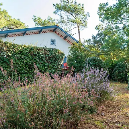 Proche Du D'hossegor * Soorts-Hossegor