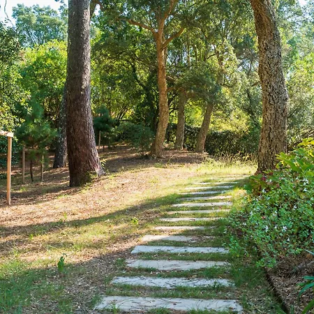 Tatil Evi Proche Du D'hossegor