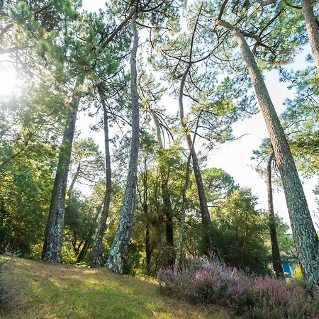 Proche Du D'hossegor Tatil Evi Soorts-Hossegor