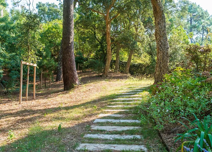 펜션 Proche Du D'hossegor