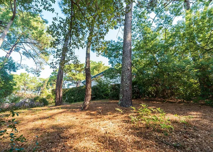 Proche Du D'hossegor * 소르-호스고르