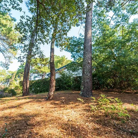 Proche Du D'hossegor * Soorts-Hossegor