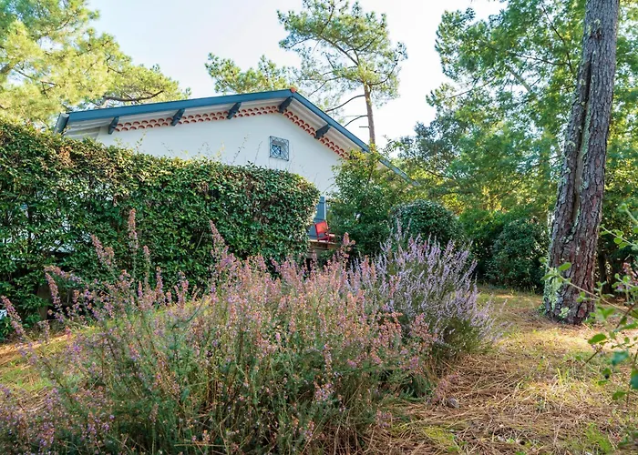 Proche Du D'hossegor * Soorts-Hossegor