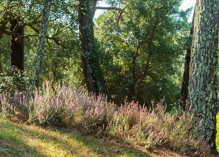 Semesterbostad Proche Du D'hossegor *