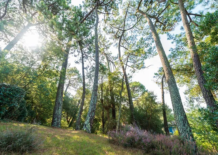 Proche Du D'hossegor Semesterbostad Soorts-Hossegor